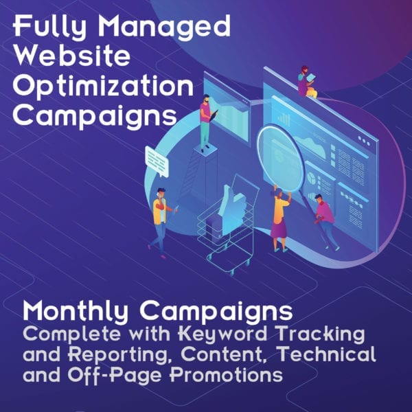 Google My Business and Website SEO Optimization Campaigns in Macon GA